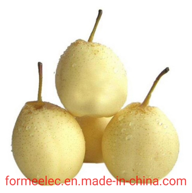 Fruit Pear Chinese Pear White Pear Hebei Ya Pear
