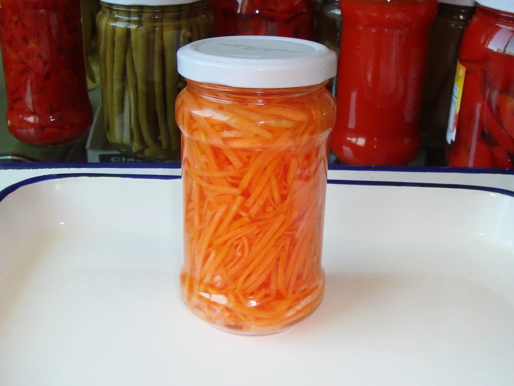Canned Carrot Slices with Best Quality