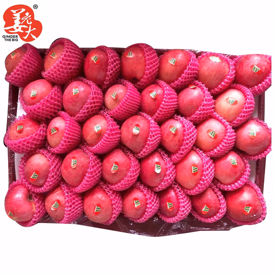 Good Quality Full Red Color 2020 Year New Crop FUJI Apple