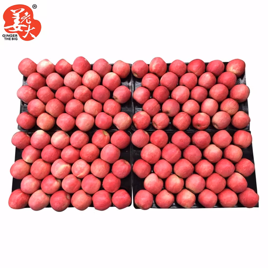 Good Quality Full Red Color 2020 Year New Crop FUJI Apple