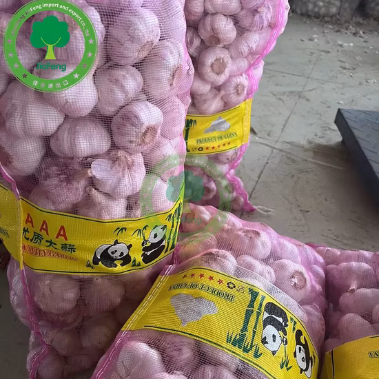 Alho Fresco Atacado Alho Branco com Preço Por Tonelada