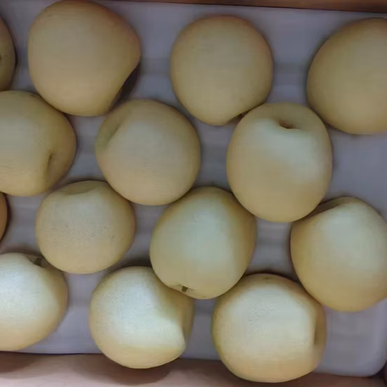 Pêra Ya Amarela Chinesa Fresca