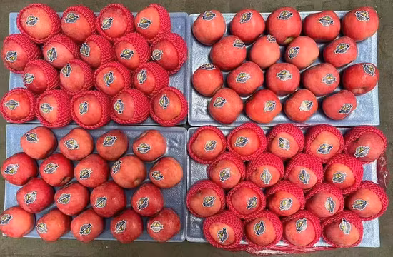 Maçã FUJI Fresca Deliciosa de Alta Qualidade