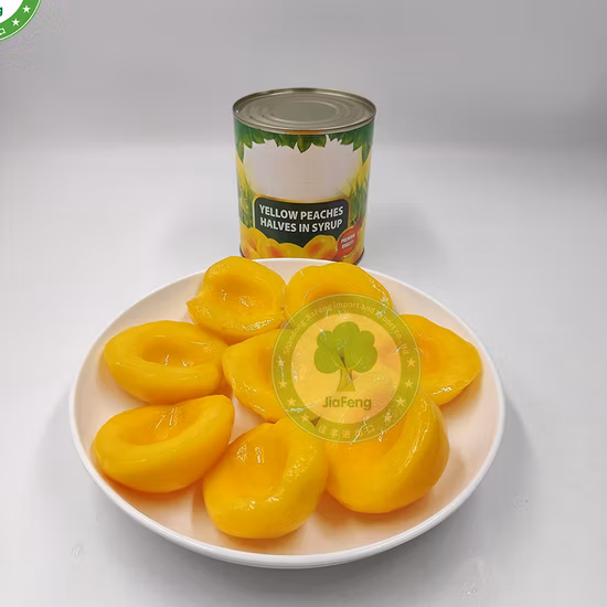 Nova safra China Origem Gengibre amarelo fresco Gingembre Ar seco super qualidade Alimentos saudáveis ​​Alimentos frescos Gengibre