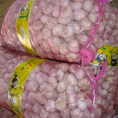 Atacado 4,5cm 5,0cm 5,5cm 6,0cm 10kg Caixa Normal Branco Alho Fresco Preço