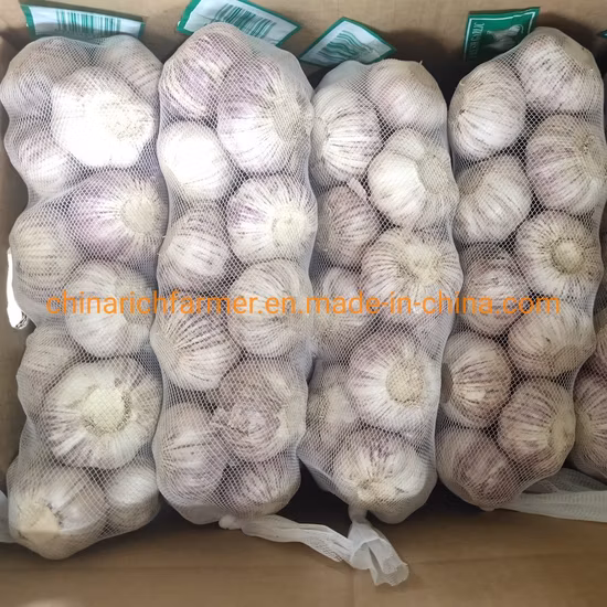 Atacado 4,5cm 5,0cm 5,5cm 6,0cm 10kg Carton Puro/Normal Branco Alho Descascado Fresco Preço Baixo