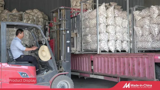 Alho branco normal/puro fresco da nova safra chinesa